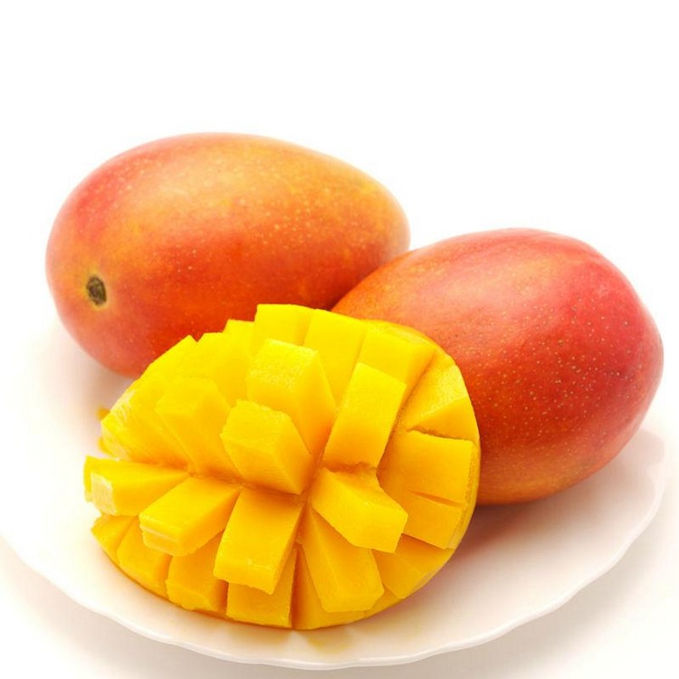 芒果适合代怀代生套餐生的孩子吃吗（芒果小孩可以吃吗哪些食物和水果蔬菜）